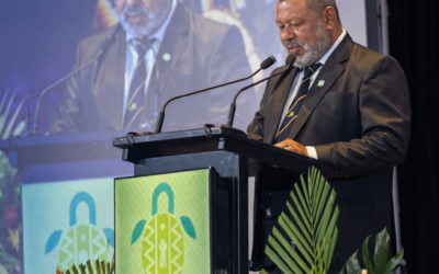PNG backs stronger Pacific cooperation on cybersecurity